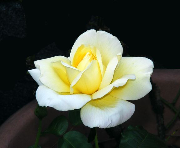 Peace photo pea2013_08210055_zpsf7d1d9ee.jpg